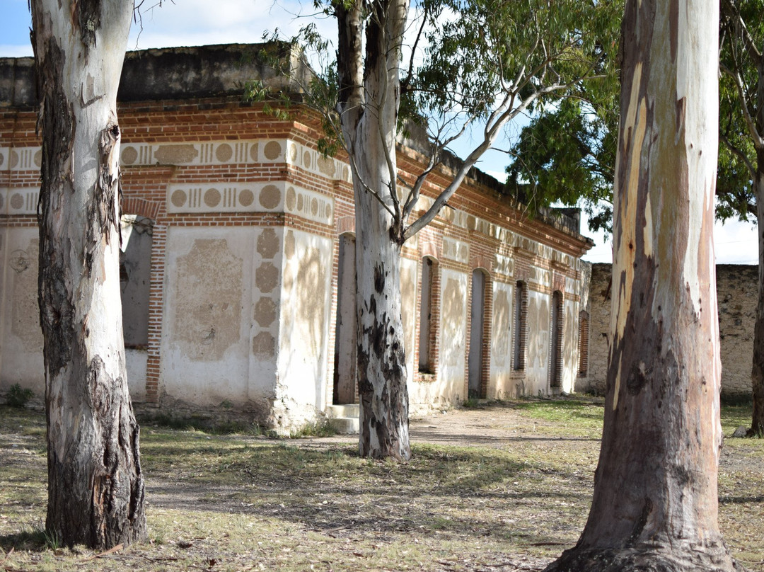 Pozos de Mineral景点图片