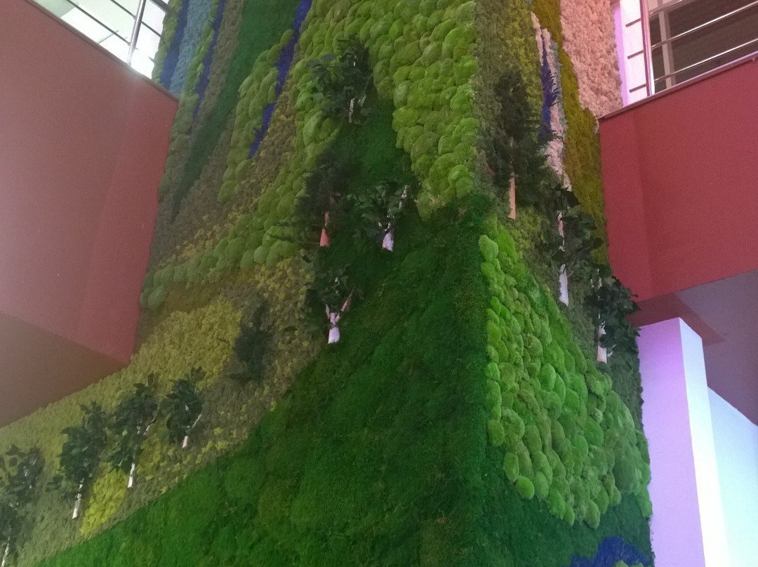 Center of Information Technology-新西伯利亚必去景点