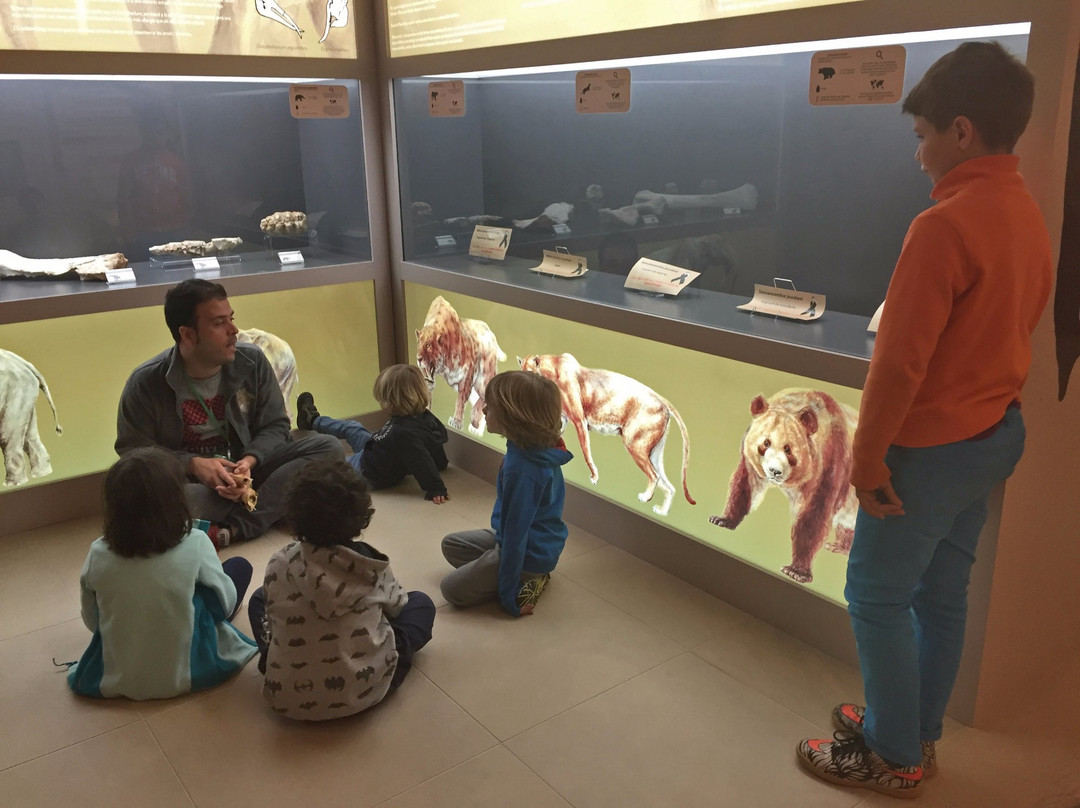 Centre de Restauració i Interpretació Paleontològica景点图片