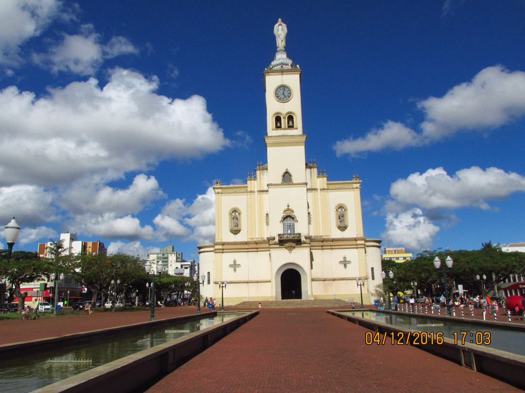 Catedral Nossa Senhora de Lourdes景点图片