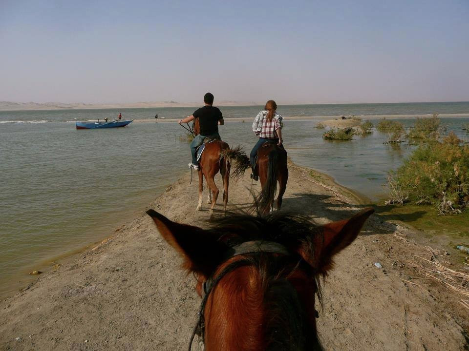 Saharina-开罗必去景点