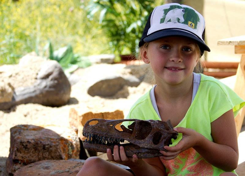 Fossil Posse Adventures-Wolcott必去景点