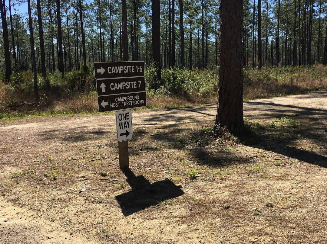 Cary State Forest-Bryceville必去景点