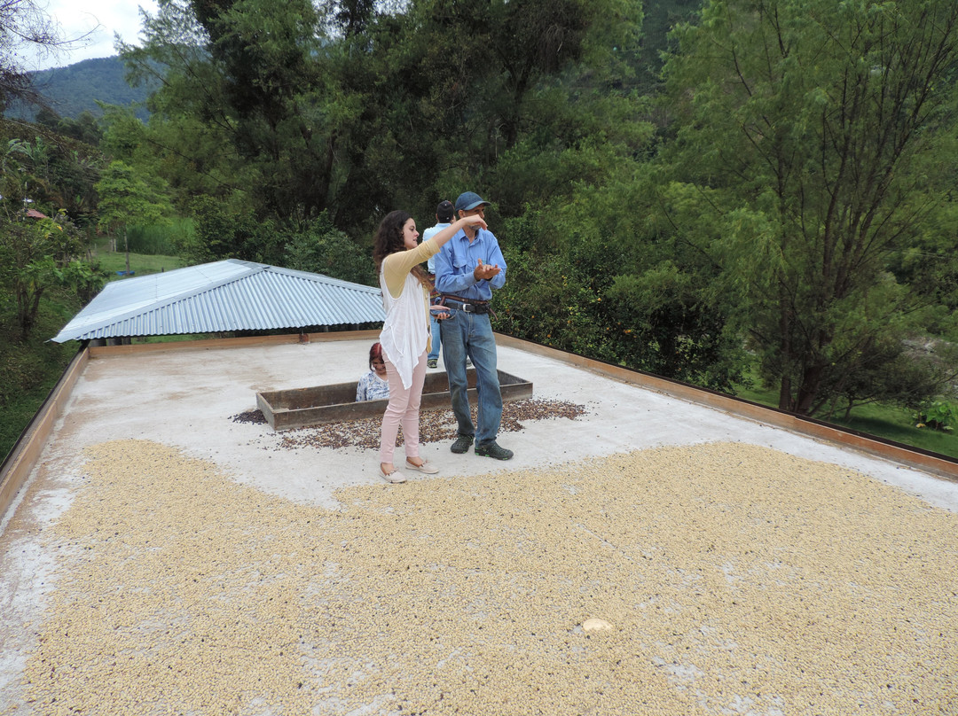 Alojamiento: La Pequeña Casa Pijao主图