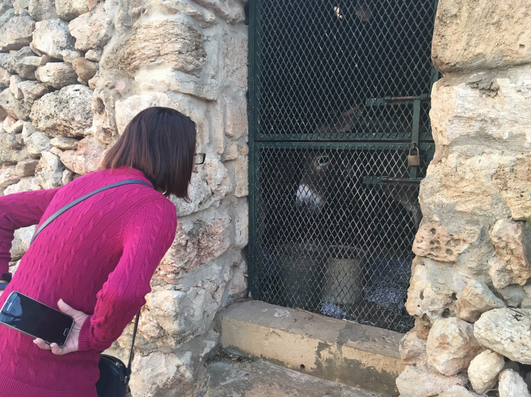 Koperattiva Rurali Manikata-梅雷赫必去景点