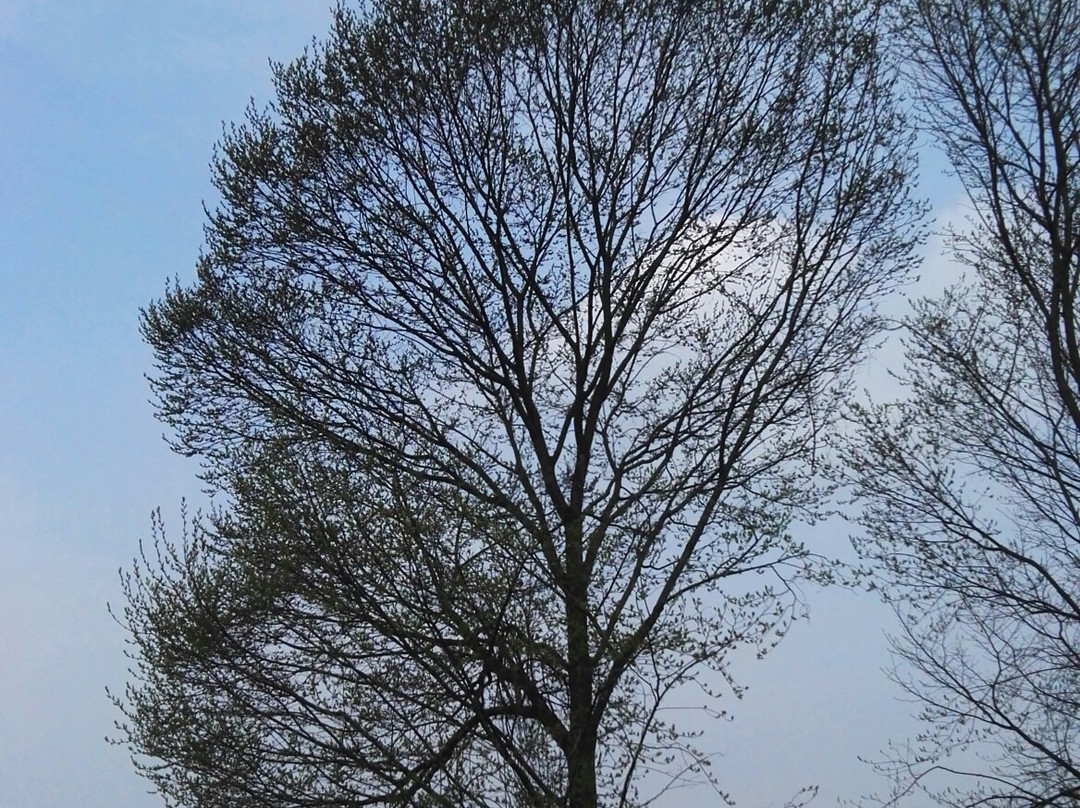 药王谷旅游景区景点图片