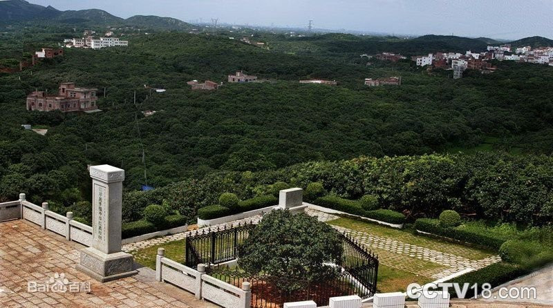 高州根子荔枝文化旅游区景点图片