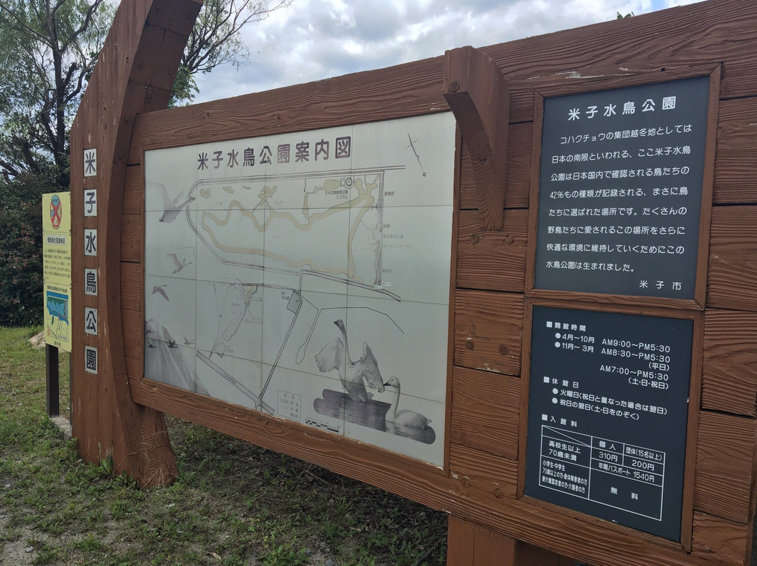 Yonago Waterbird Sanctuary-米子市必去景点