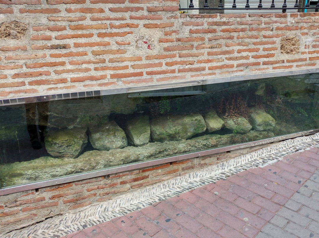 Calle Real Fountain