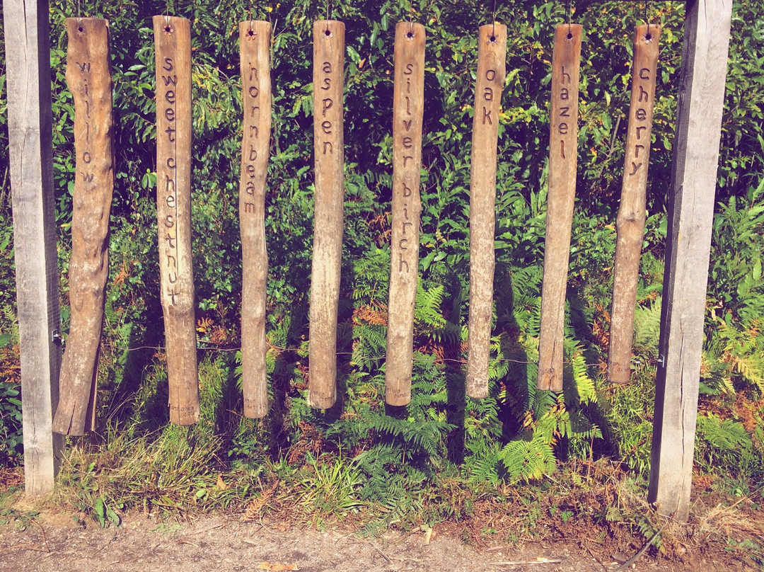 West Blean & Thornden Woods景点图片