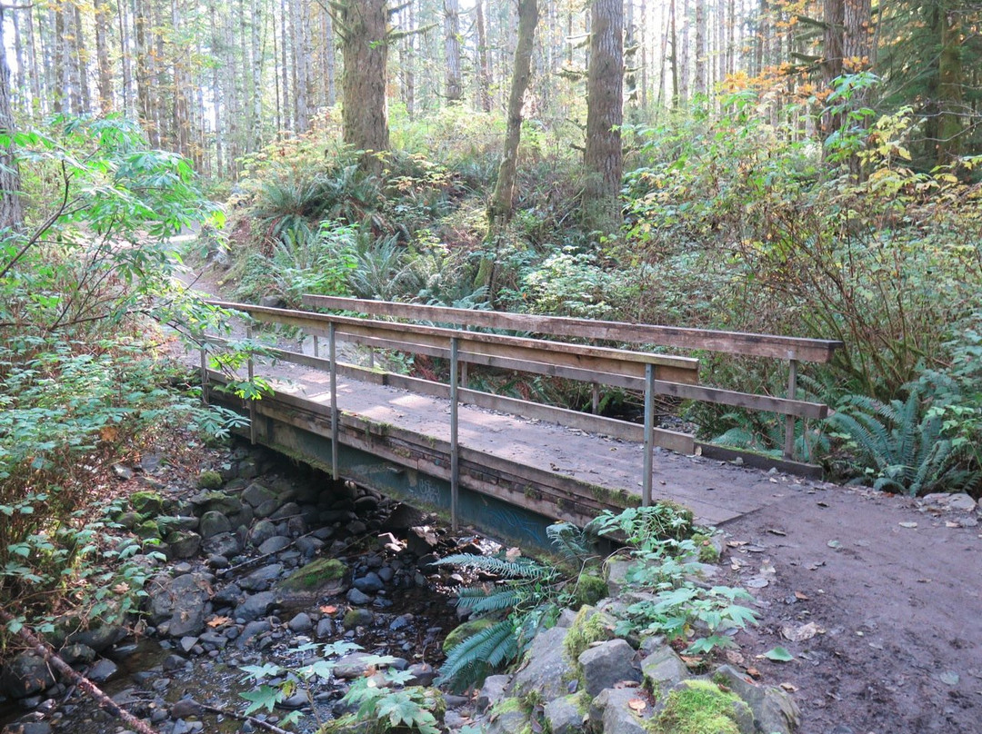 Beaver Lodge Forest Land景点图片