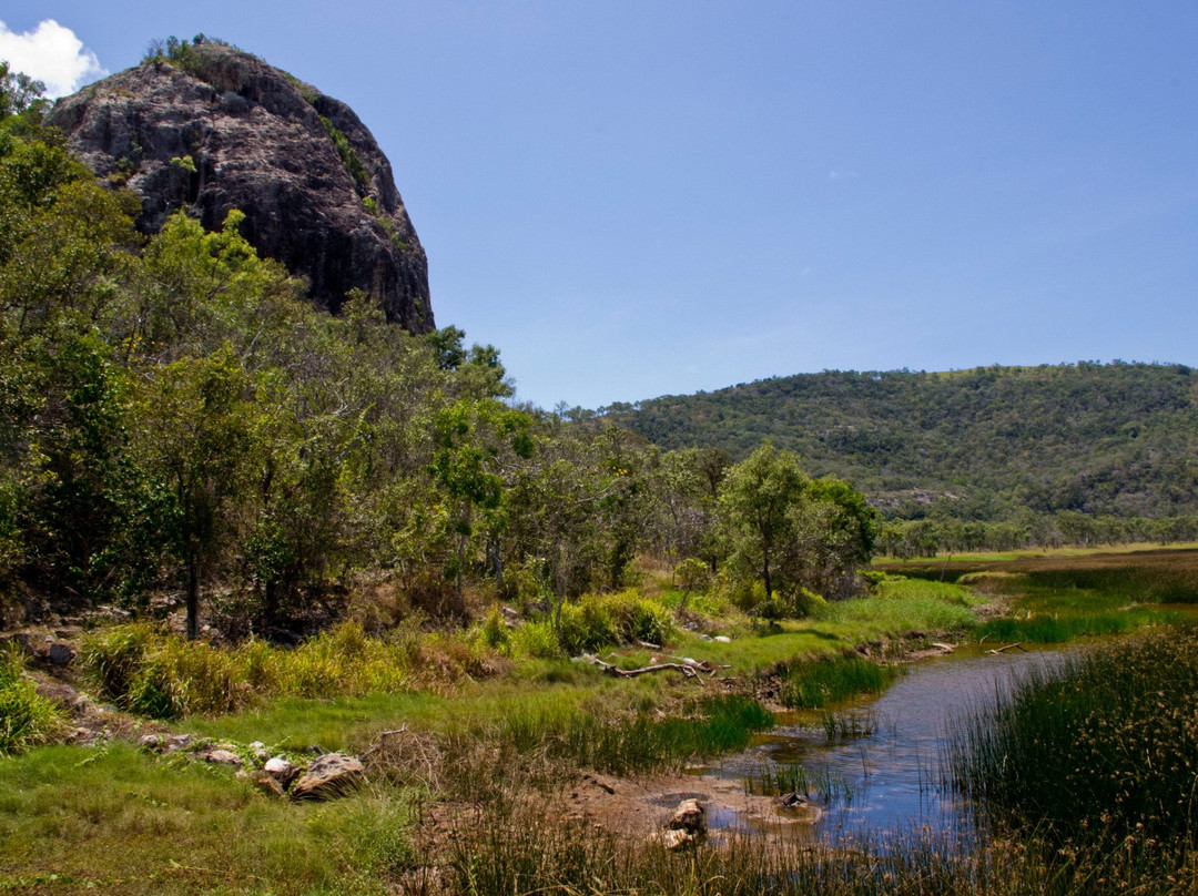 Many Peaks Walking Track-汤斯维尔必去景点