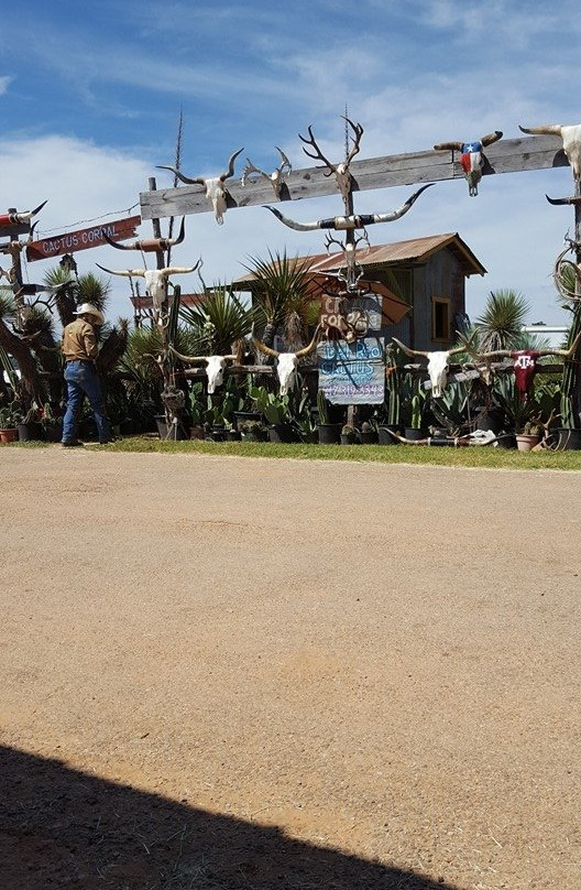 Fredricksburg Trade Days-弗雷德里克斯堡必去景点