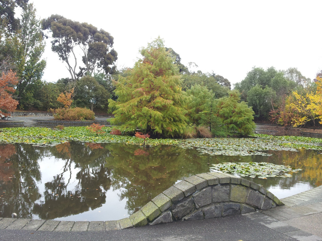Wilson Botanic Park景点图片
