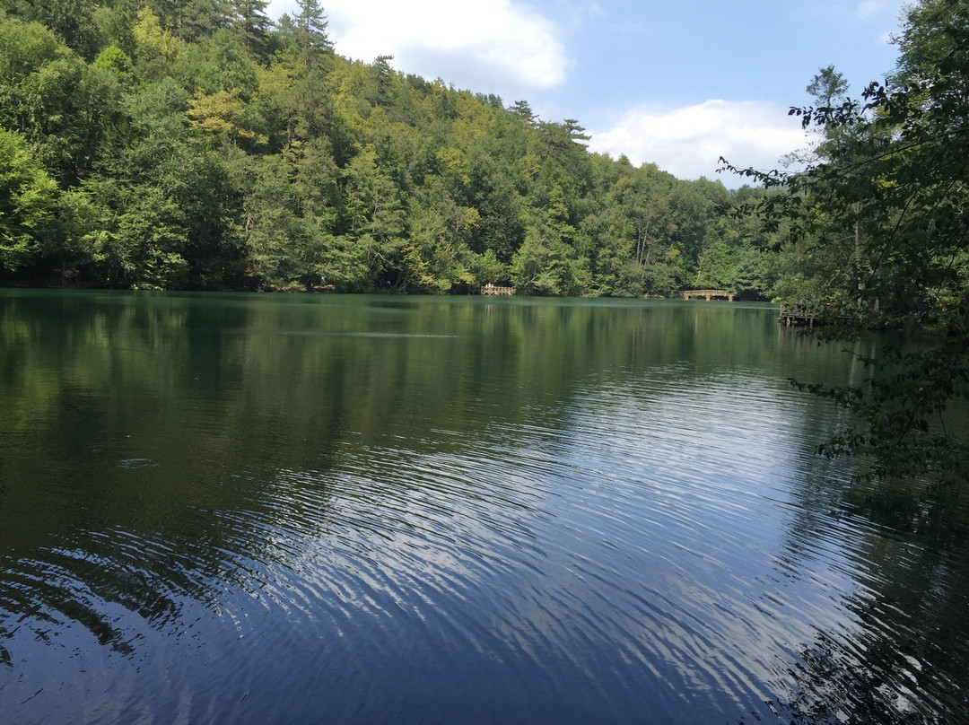 Yedigoller National Park景点图片