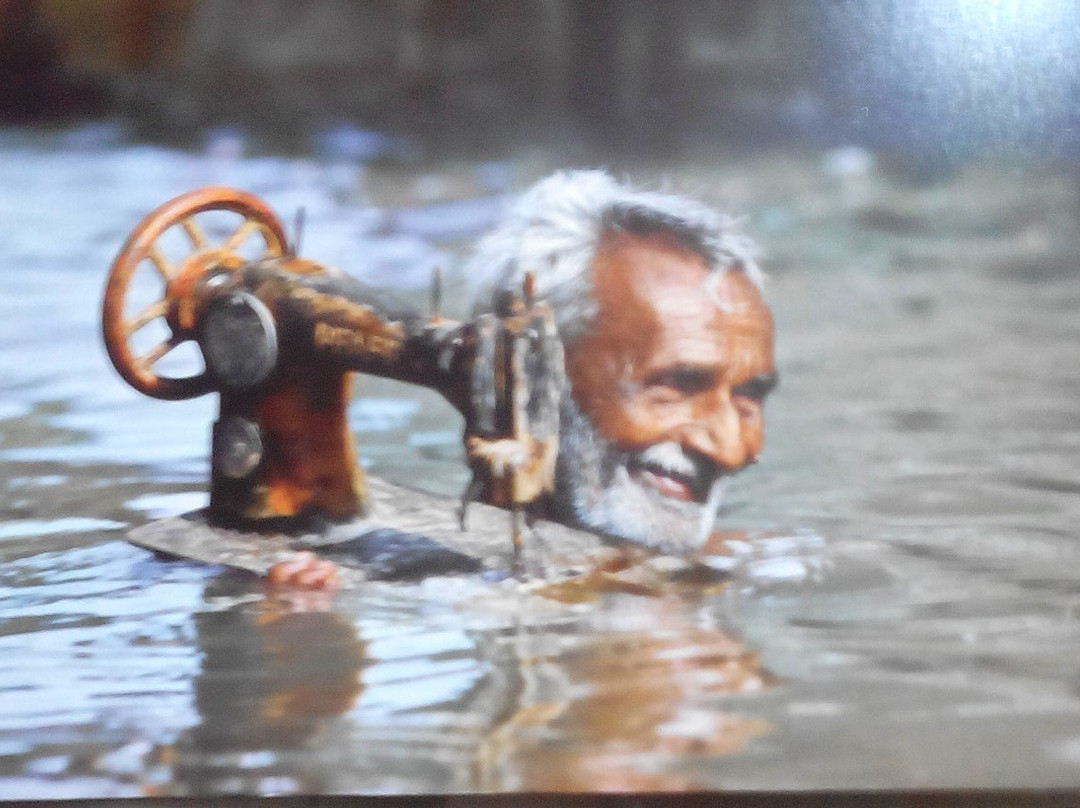 Mostra Steve Mc Curry-韦纳里亚雷亚莱必去景点