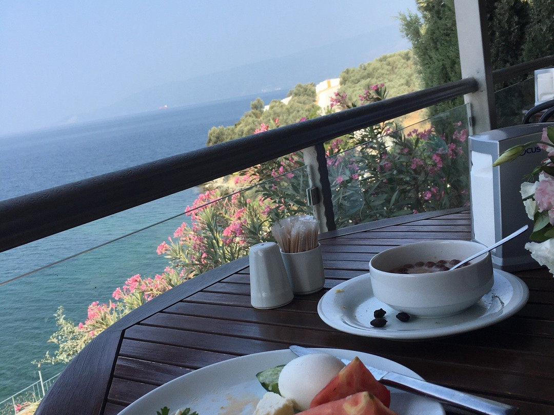 Atamer Turistik Tesisleri主图