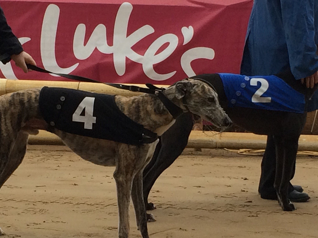 Owlerton Greyhound Stadium景点图片