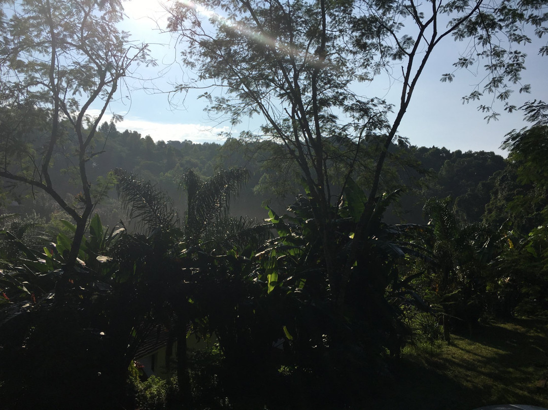 Cabanas La Jicarita主图