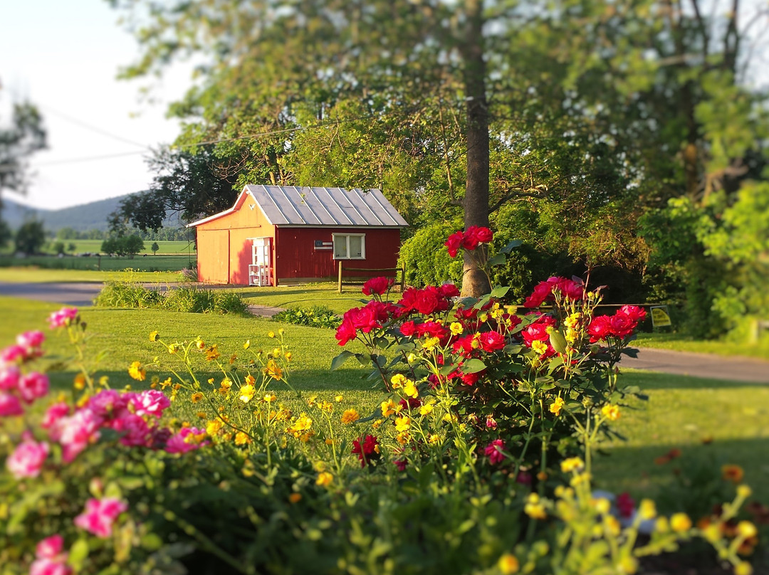 Red Cardinal Bed and Breakfast主图