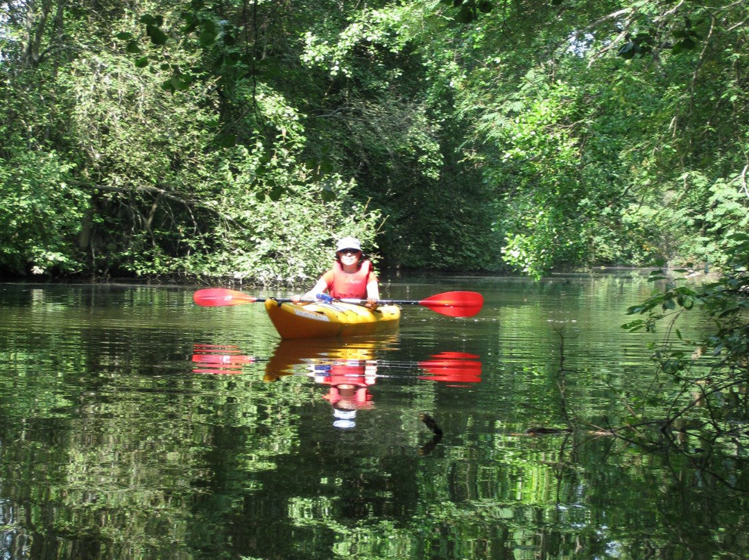 SE-Action Canoe Center-Siuntio必去景点