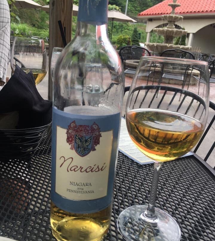 La Casa Narcisi Winery景点图片