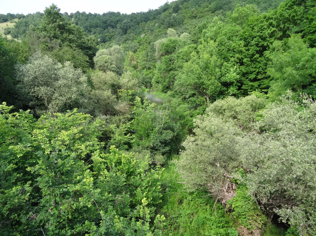 Strandja Nature Park景点图片