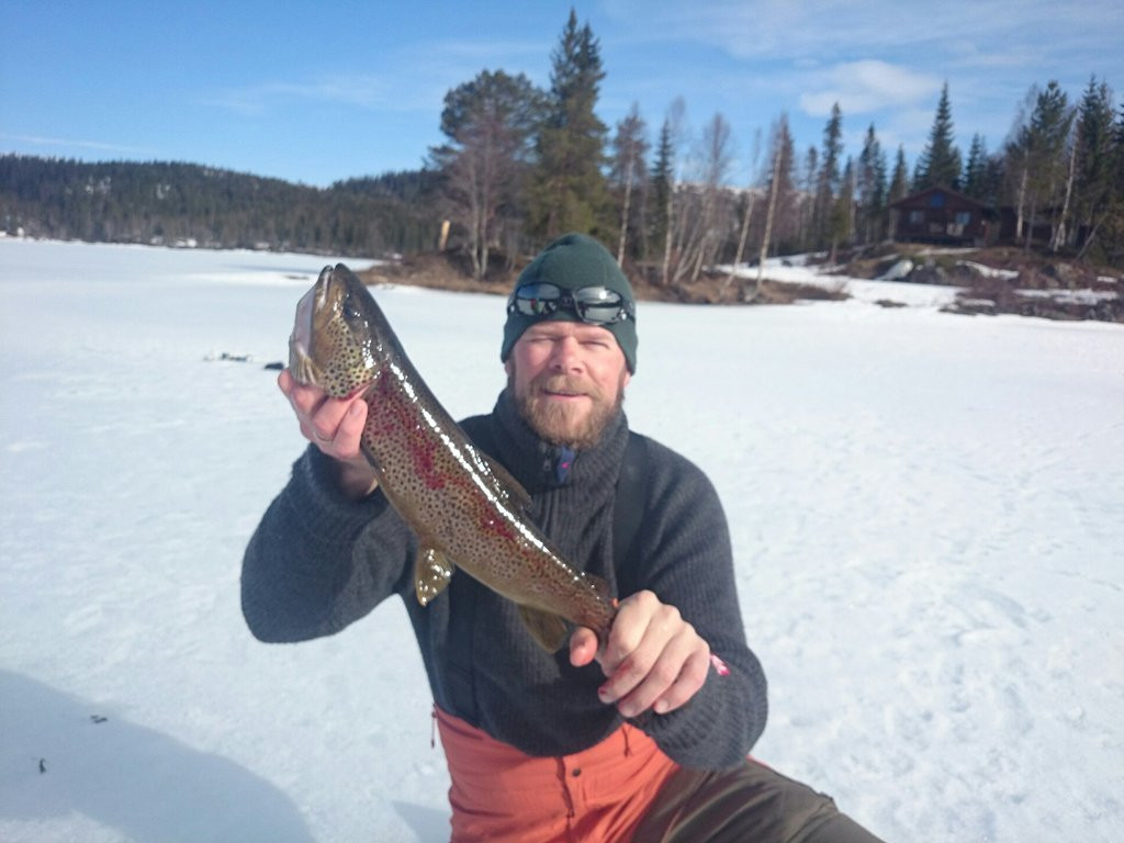 Grong Fritid and Tourist Information-Medja必去景点