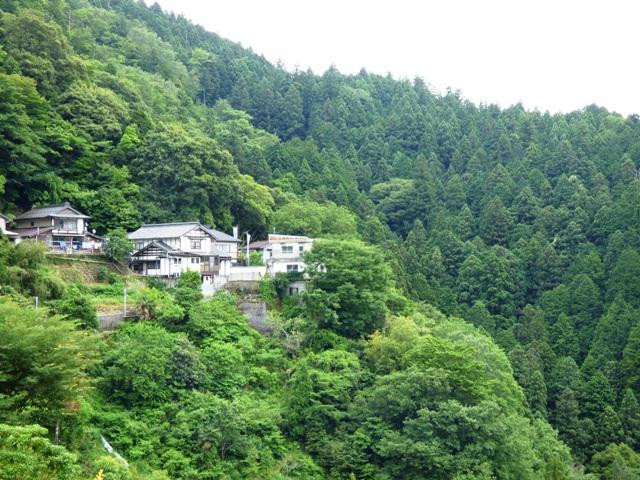 Kenmi Shrine景点图片
