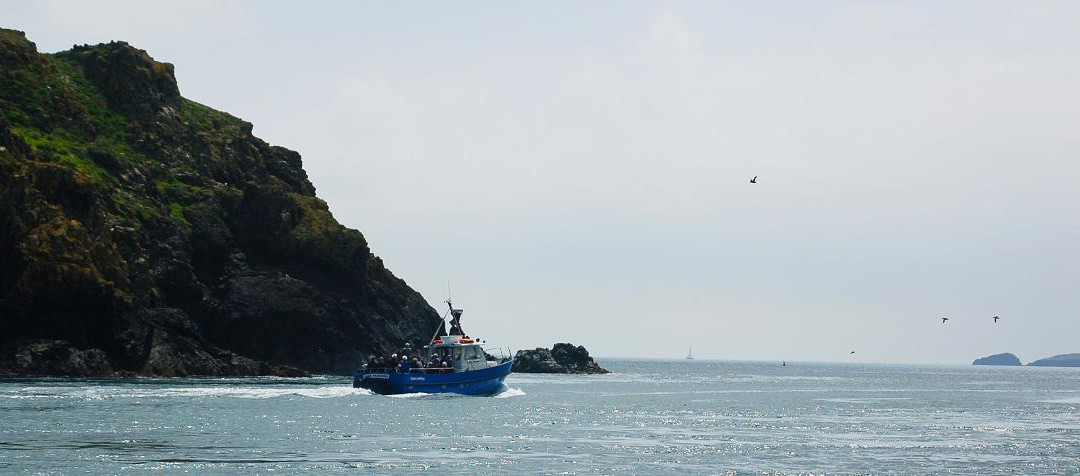 Pembrokeshire Islands Boat Trips景点图片