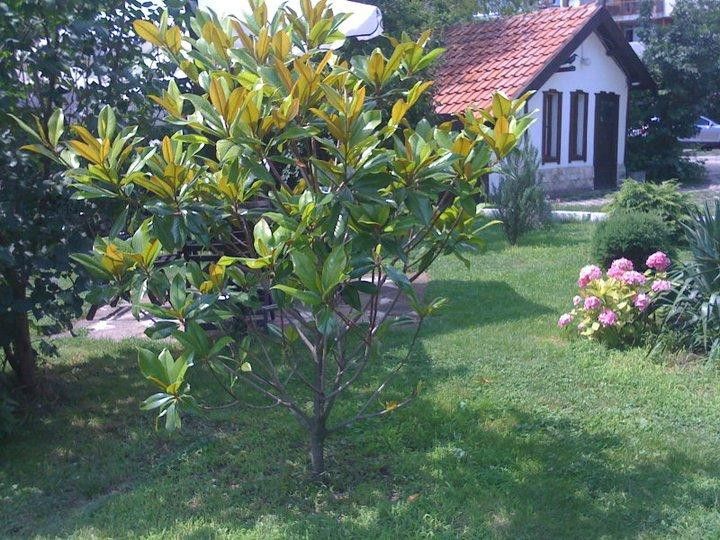 White House Hotel & Restaurant主图