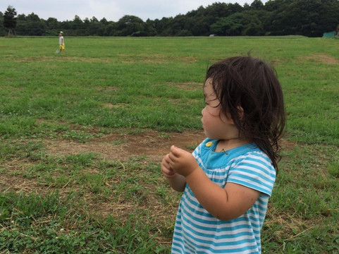 Mori no Makiba Auto Campsite-袖浦市必去景点