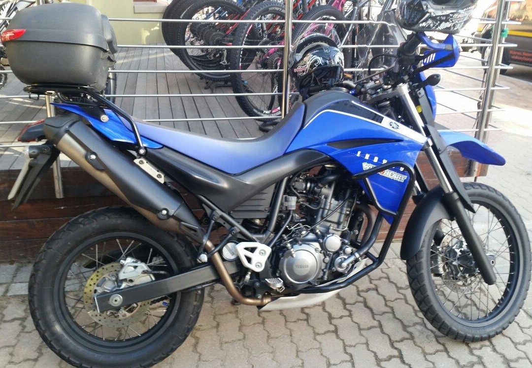 Sixty 53 Sixty Bicycle Rentals-荒野必去景点