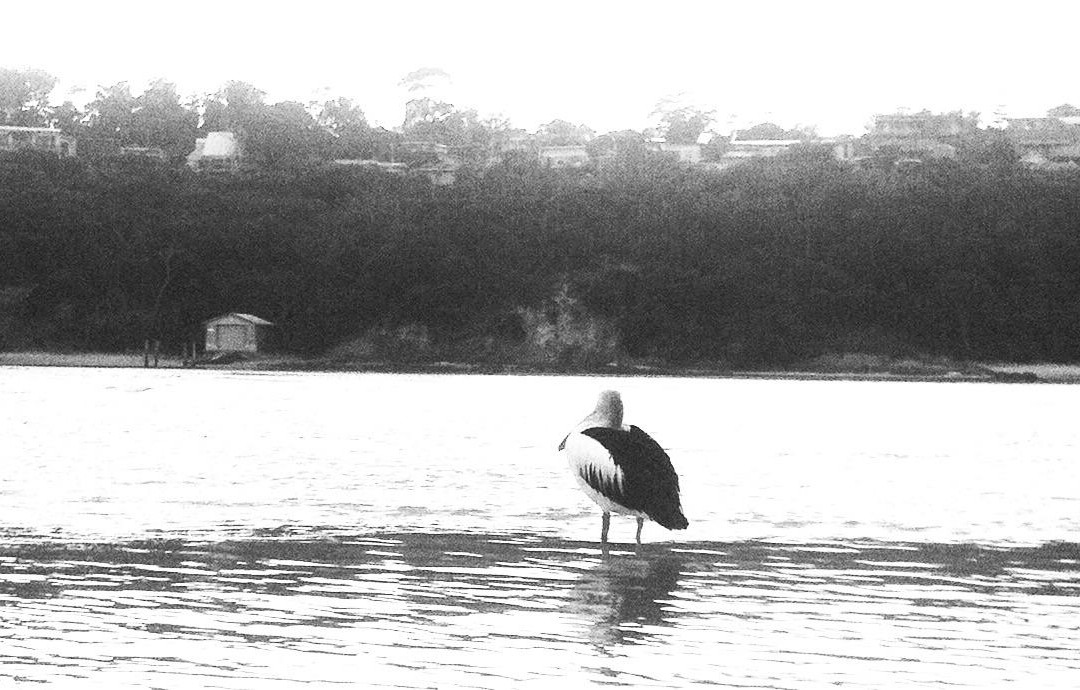 Sea La Vie Merimbula主图