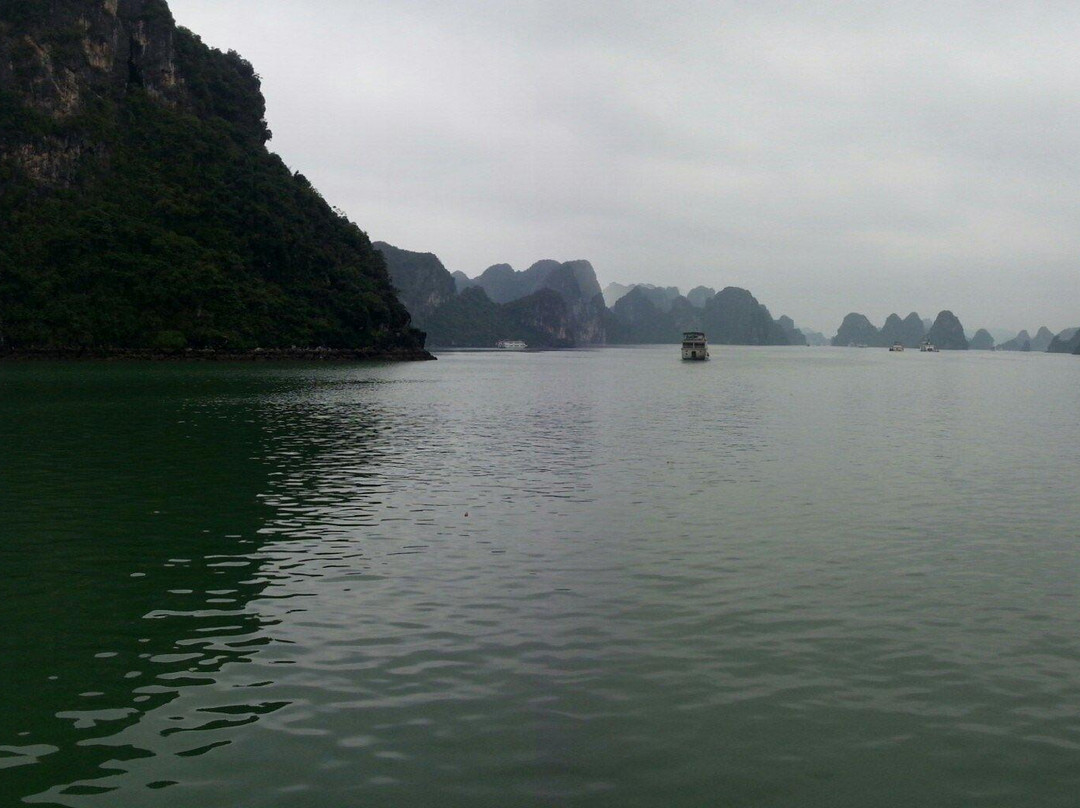 Cat Ba Tours景点图片