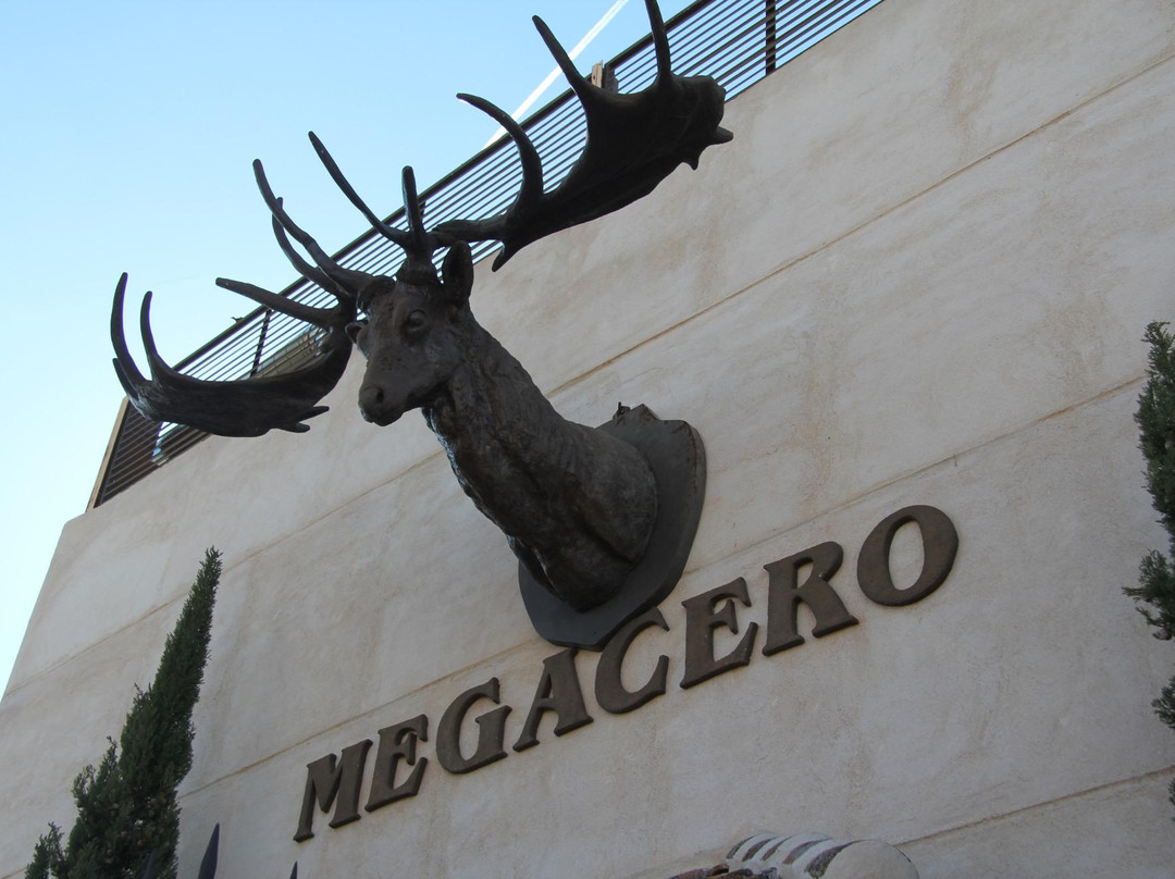 El Museo De La Caza景点图片