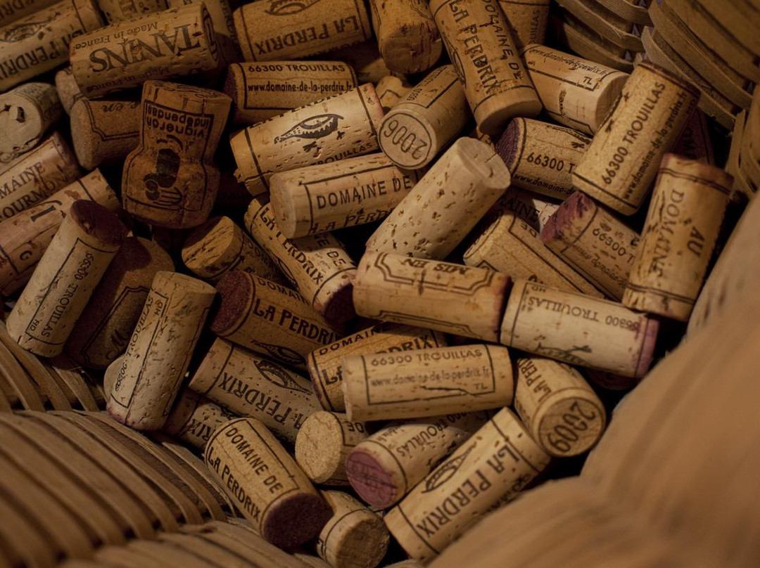 Domaine de la Perdrix景点图片