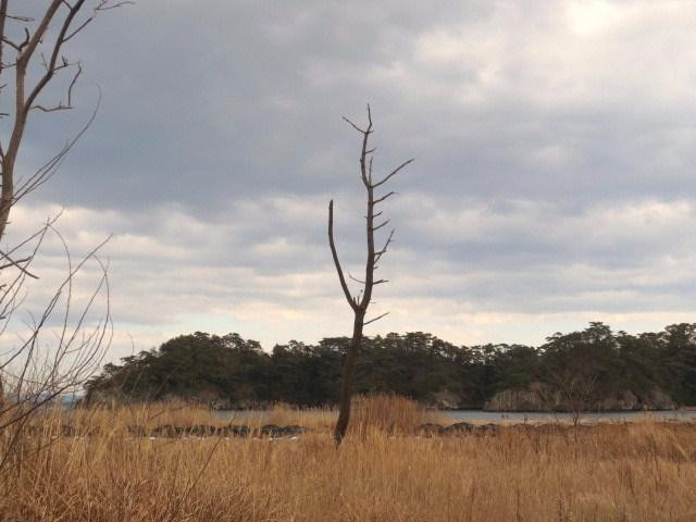 Nobiru Beach-东松岛市必去景点