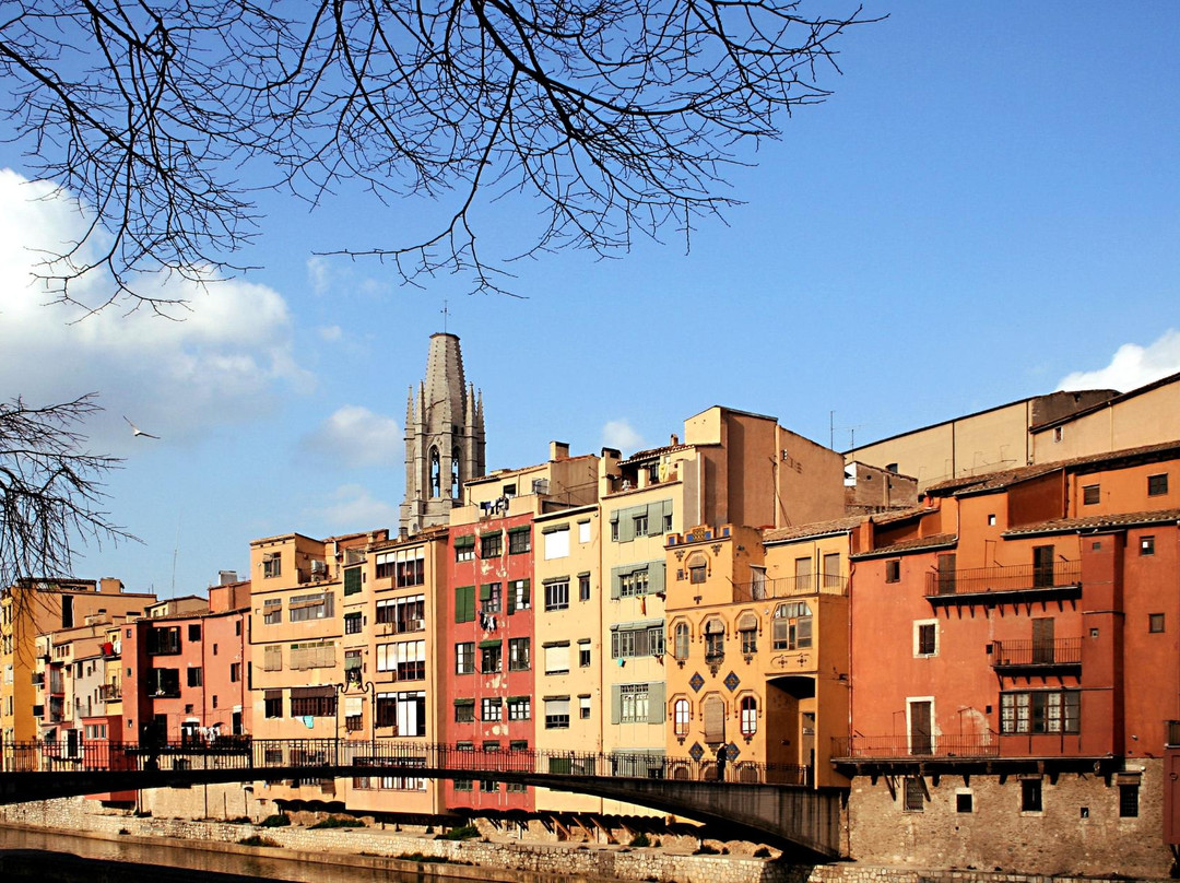 Eiffel Bridge (Pont de les Peixateries Velles)景点图片