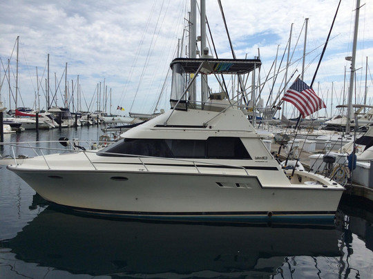 KnockOut Charters - Boat Tours-芝加哥必去景点