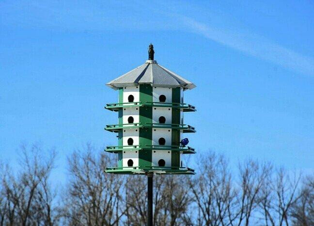 Warner Park-麦迪逊必去景点