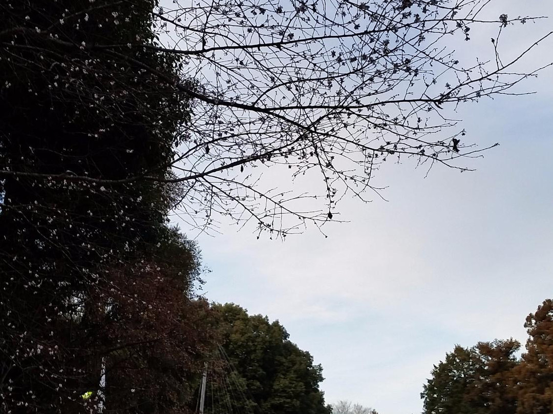 Nagara Tenjin Shrine-岐阜市必去景点