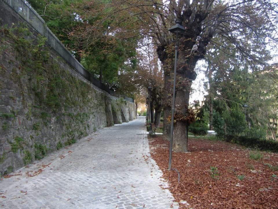 Rocca Borgesca景点图片