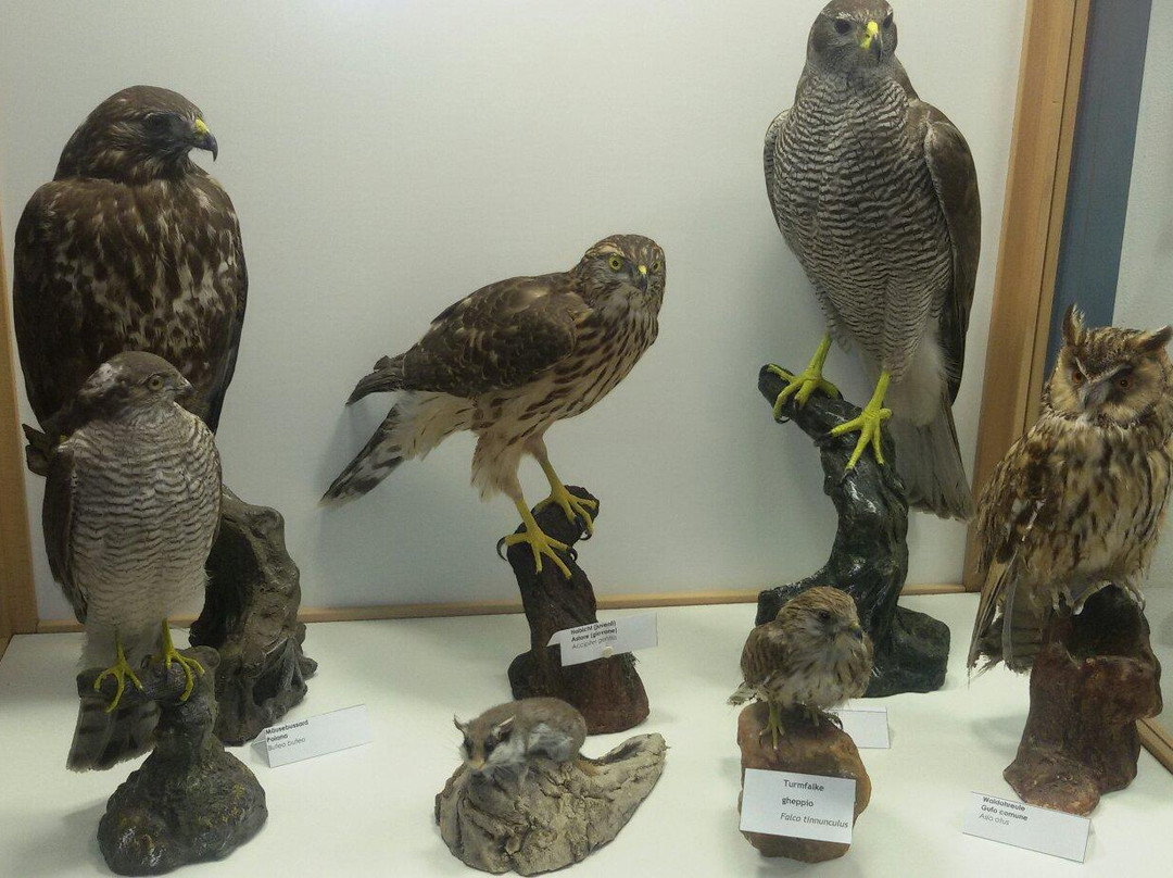 Aquaprad-Prato allo Stelvio必去景点