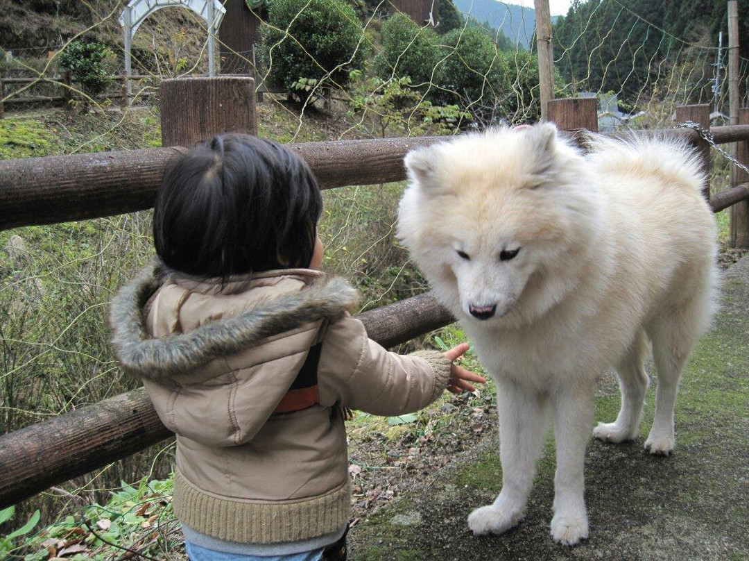 Kyoryu Land Gokurakudo-葛城町必去景点
