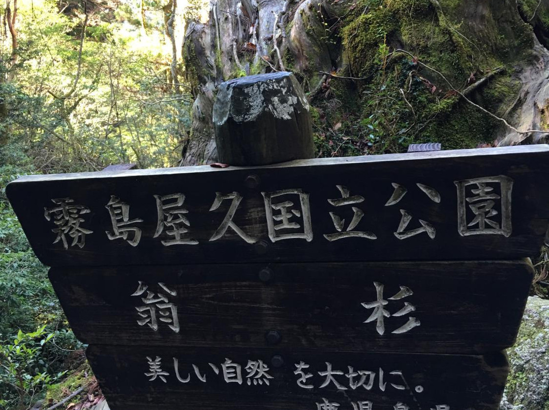Okinasugi景点图片