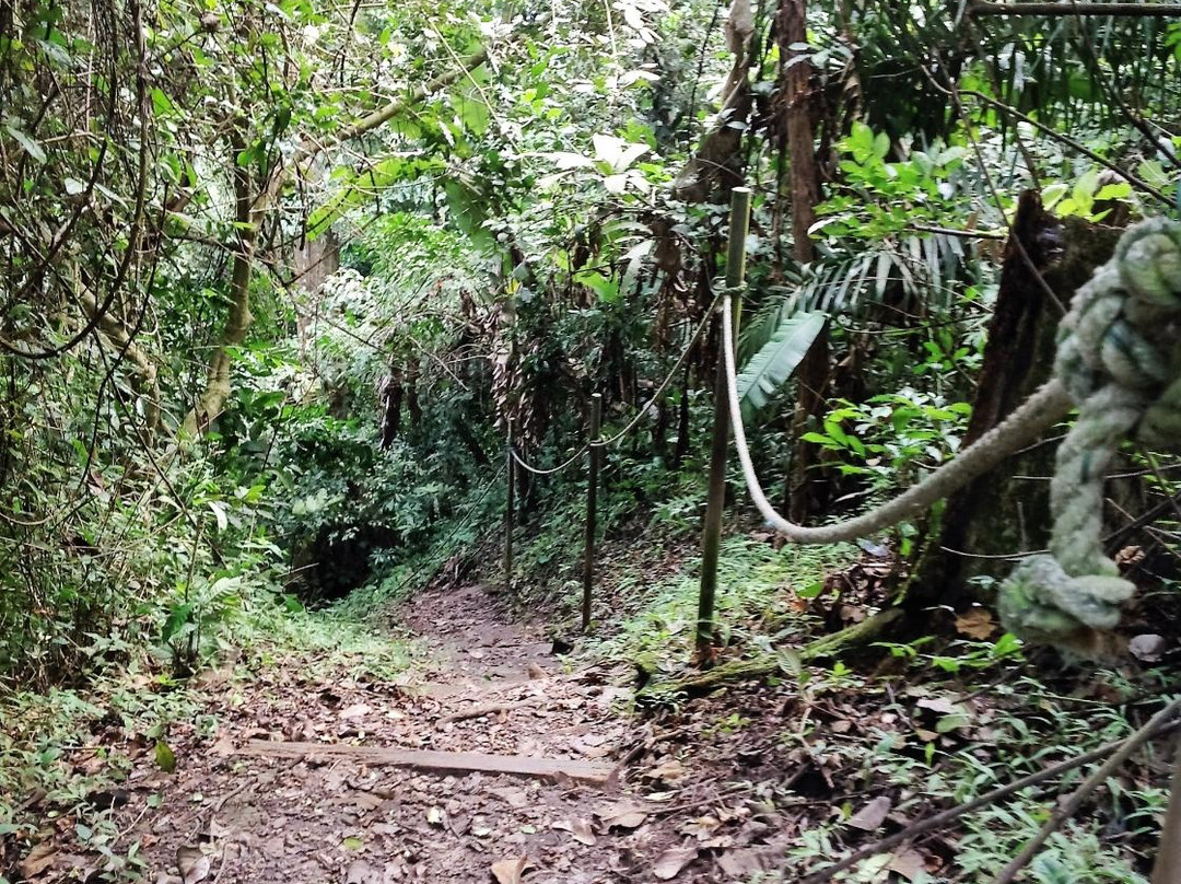 Amedzofe旅游景点-Ote Falls