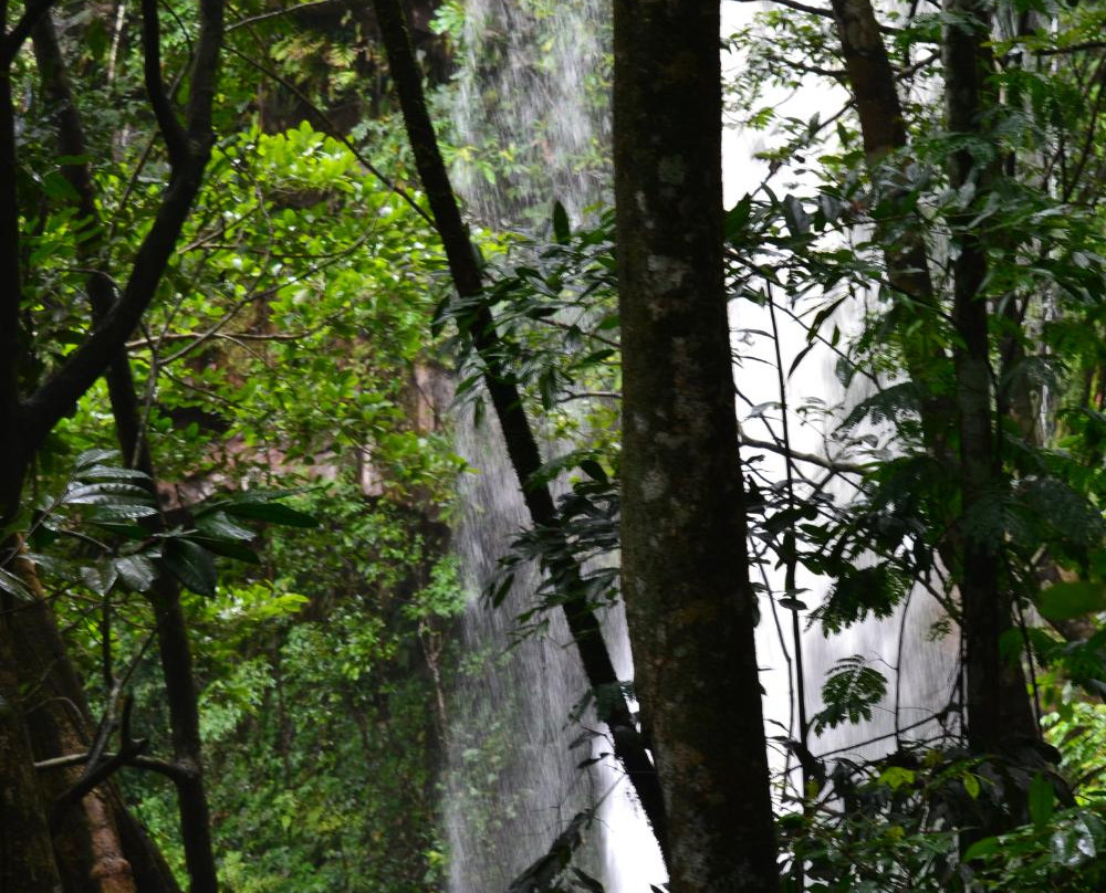 Vale das Cachoeiras景点图片