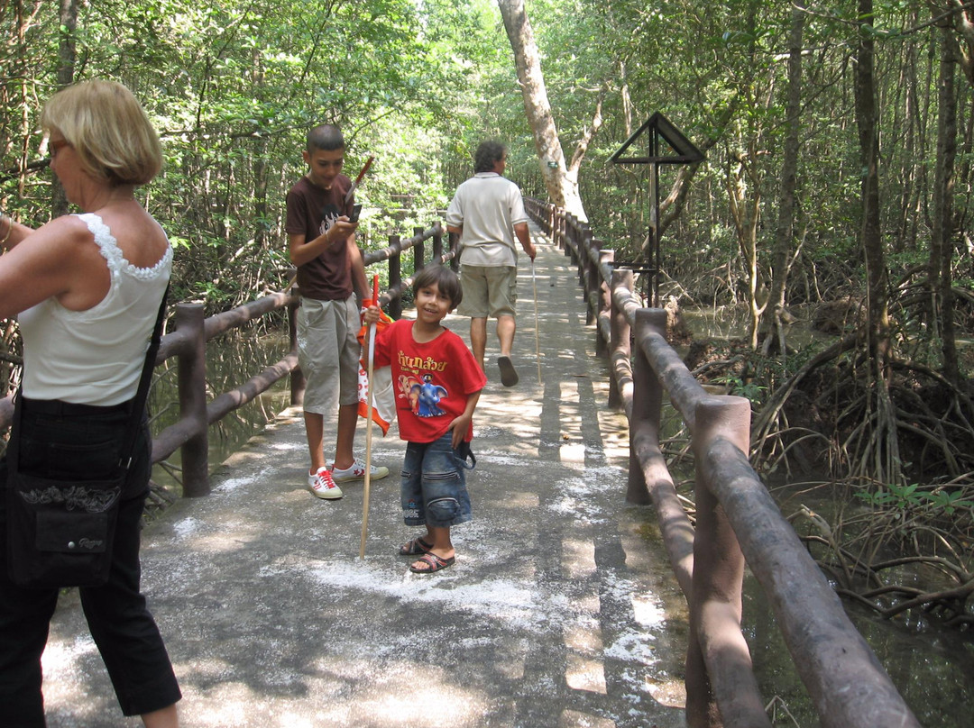 Ngao Mangrove Forest Research Centre景点图片