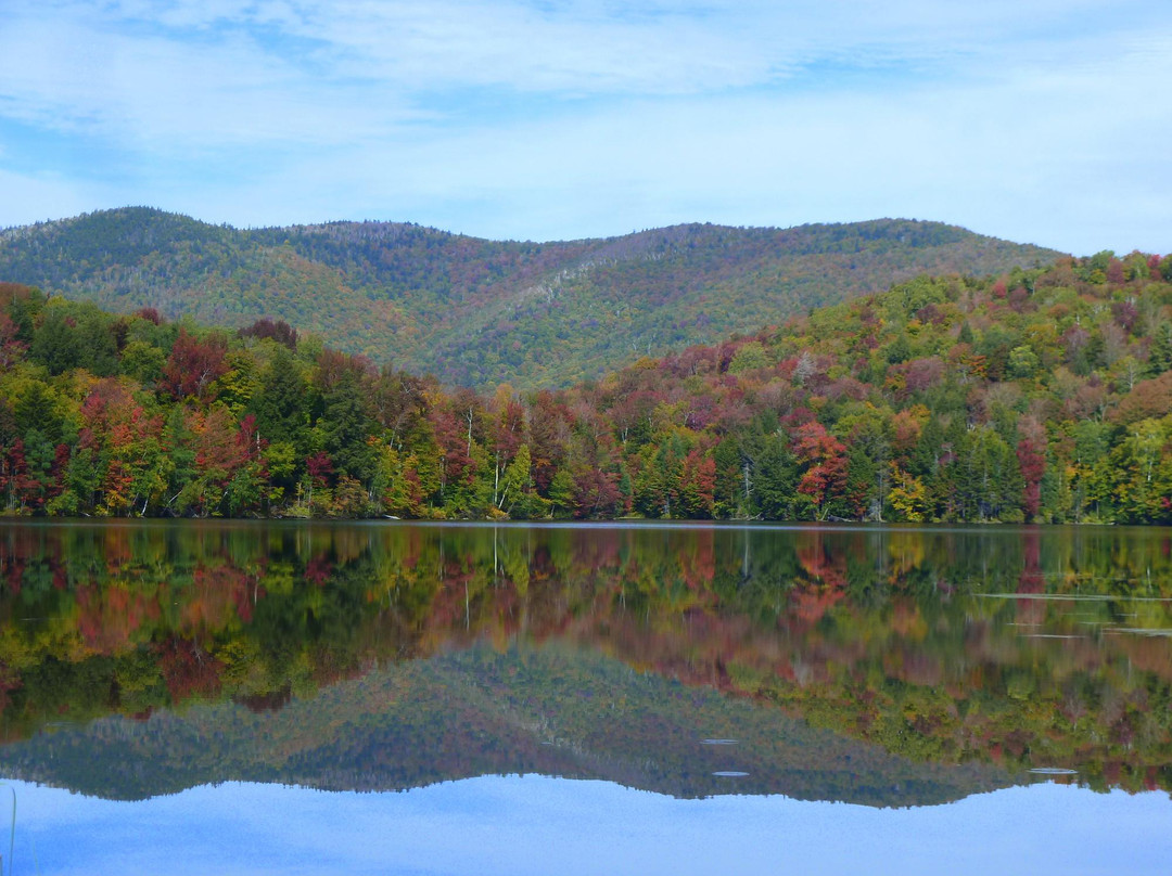 Gifford Woods State Park-基灵顿必去景点
